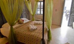Riad Alamir