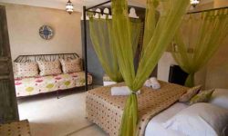 Riad Alamir